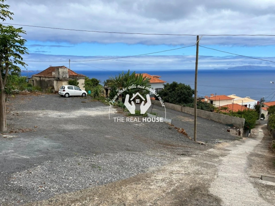 Terreno para Arrendamento em Santa Cruz Foto 4