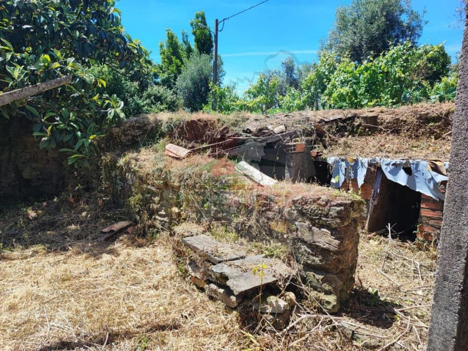 Quinta T3 para Venda em Castelo Foto 22