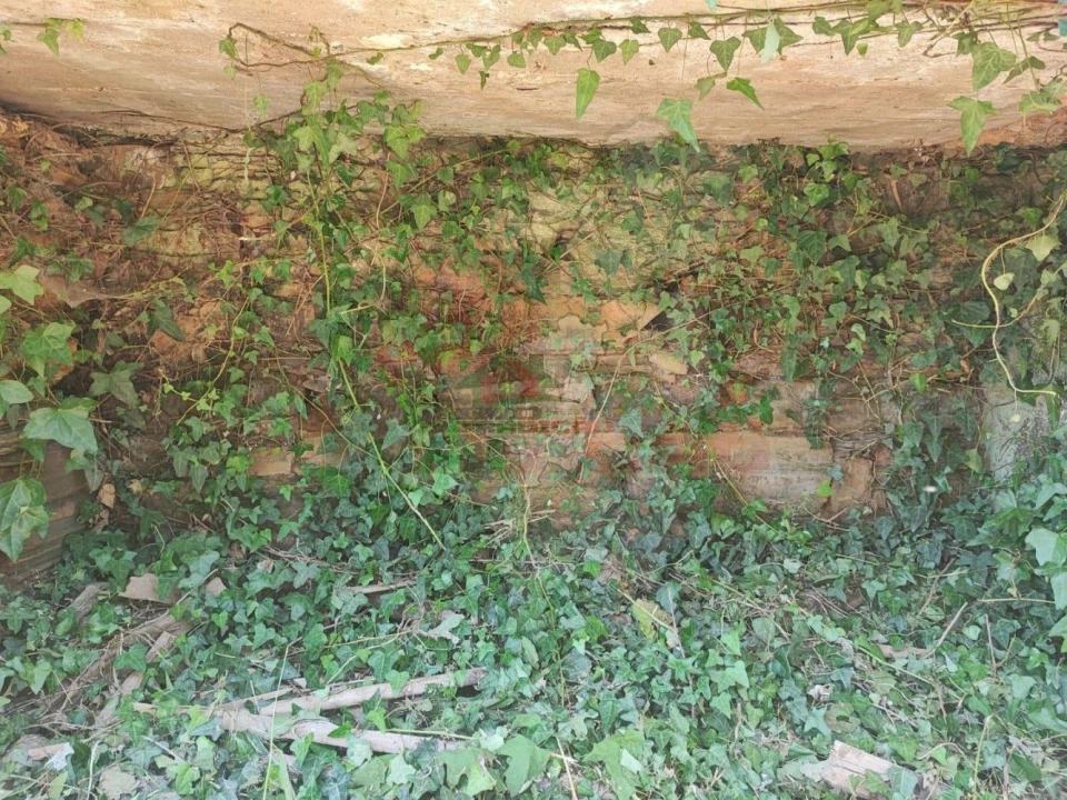 Quinta T3 para Venda em Castelo Foto 24