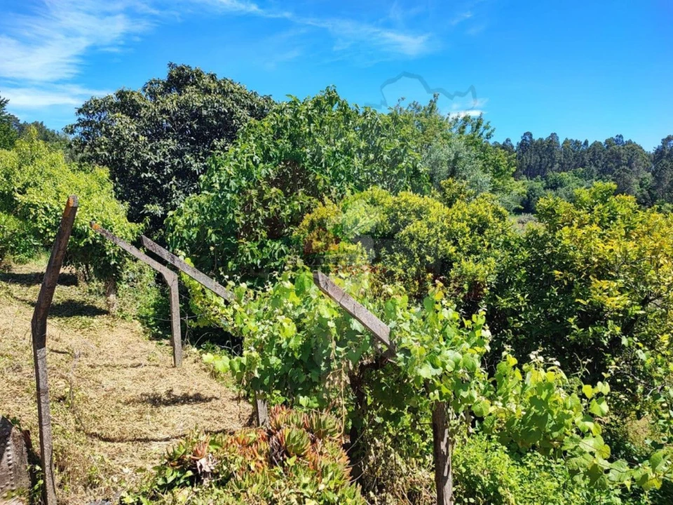 Quinta T3 para Venda em Castelo Foto 18