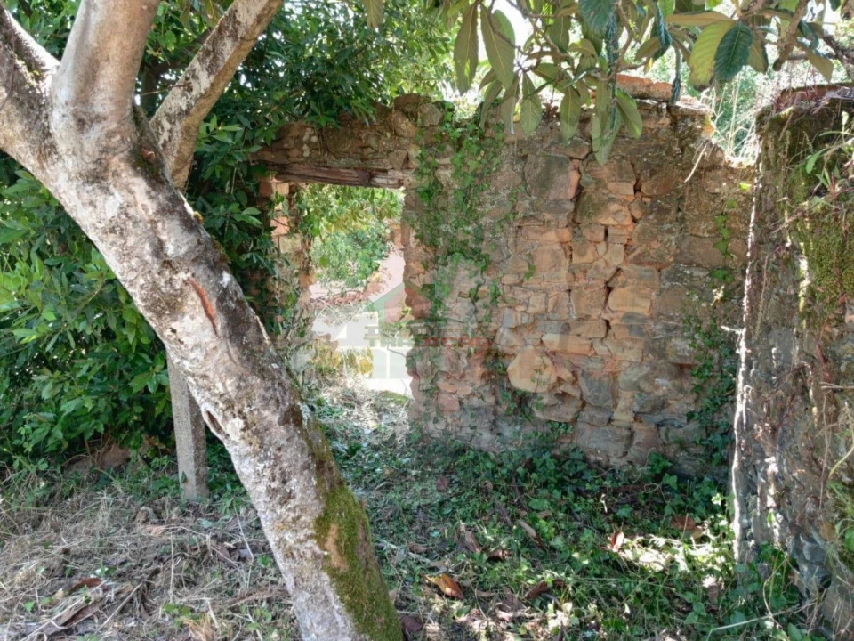 Quinta T3 para Venda em Castelo Foto 21