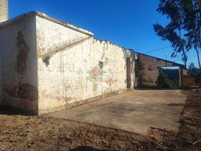 Quinta T2 para Venda em Vila de Rei Foto 3