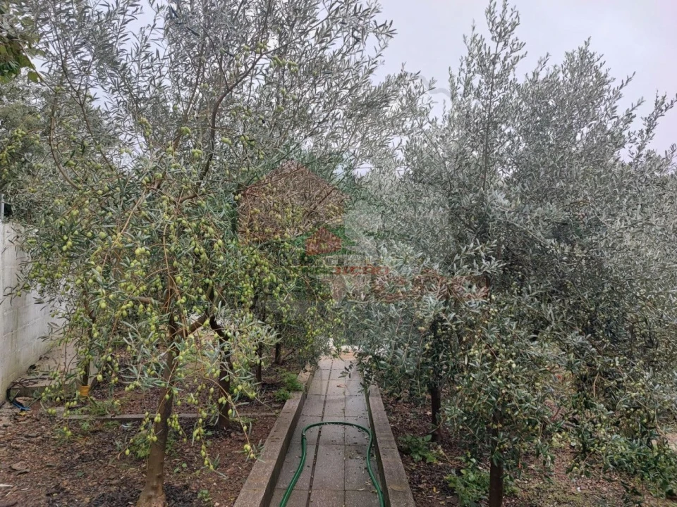 Quinta T2 para Venda em Pedrogão Pequeno Foto 28