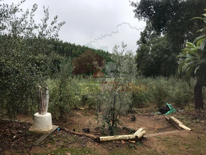 Quinta T2 para Venda em Pedrogão Pequeno Foto 34