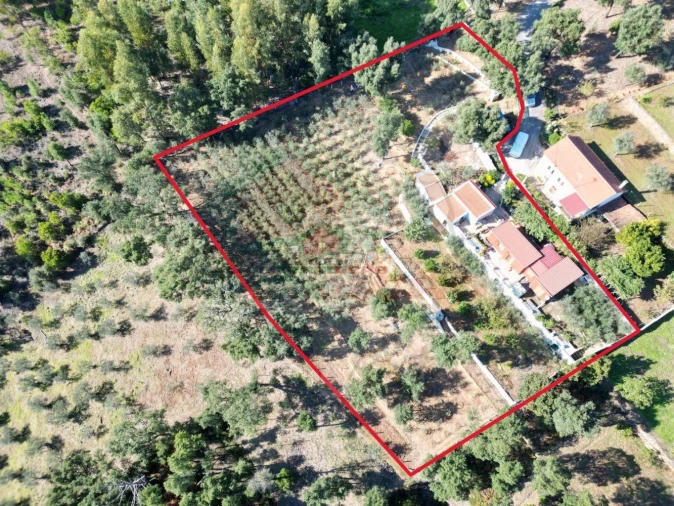 Quinta T2 para Venda em Pedrogão Pequeno Foto 38