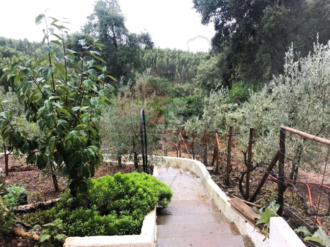 Quinta T2 para Venda em Pedrogão Pequeno Foto 33