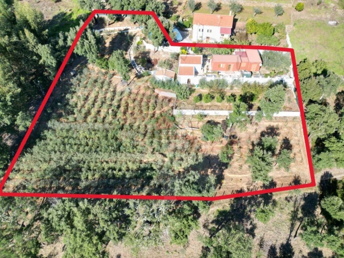 Quinta T2 para Venda em Pedrogão Pequeno Foto 37