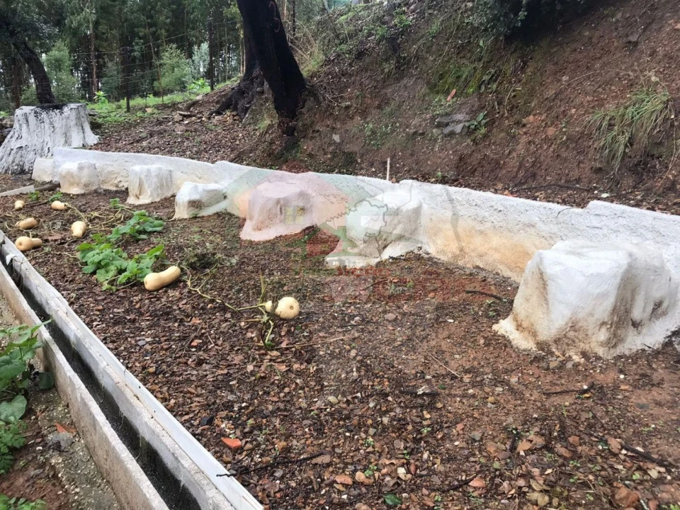 Quinta T2 para Venda em Pedrogão Pequeno Foto 32