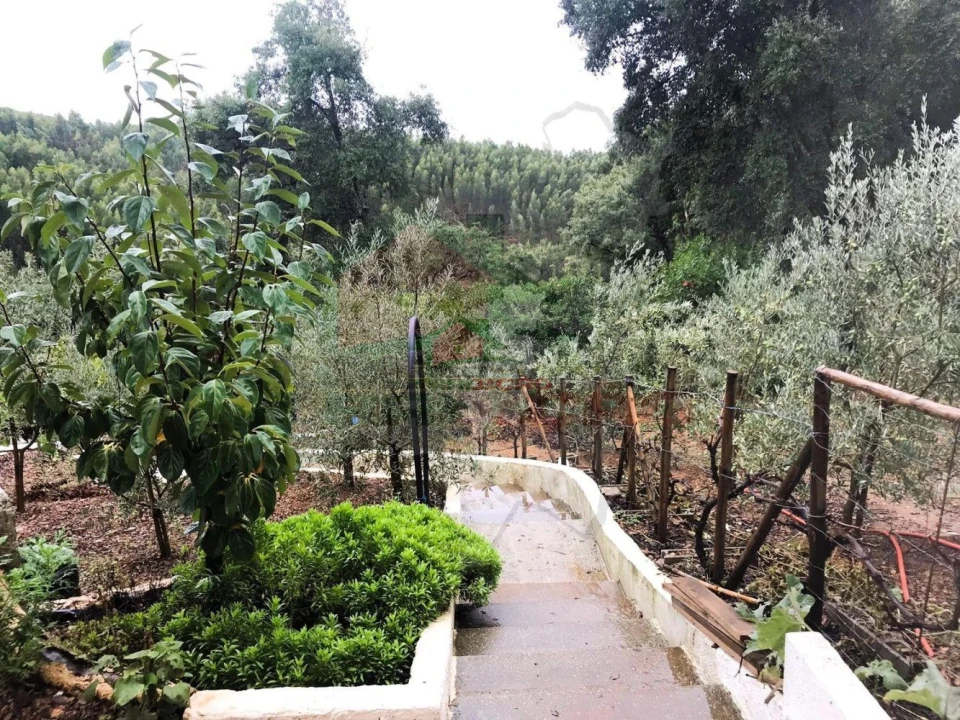 Quinta T2 para Venda em Pedrogão Pequeno Foto 33