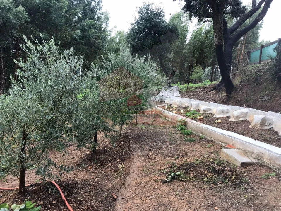 Quinta T2 para Venda em Pedrogão Pequeno Foto 31