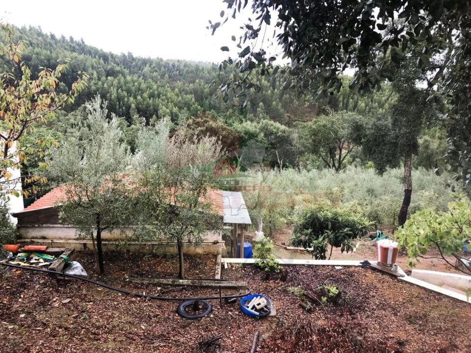 Quinta T2 para Venda em Pedrogão Pequeno Foto 29