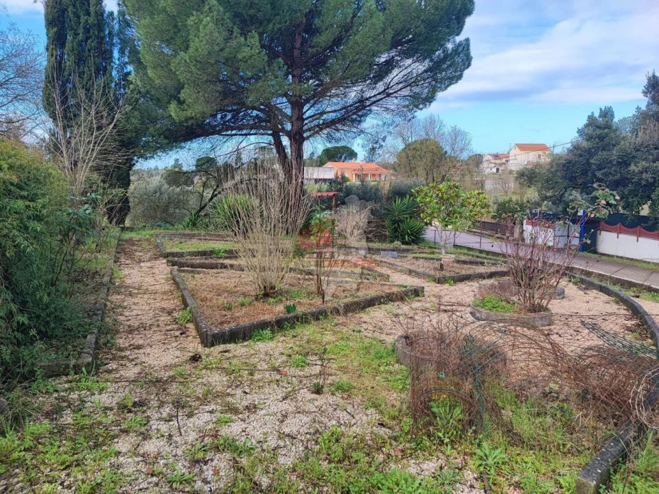 Moradia T3 para Venda em Casais e Alviobeira Foto 35