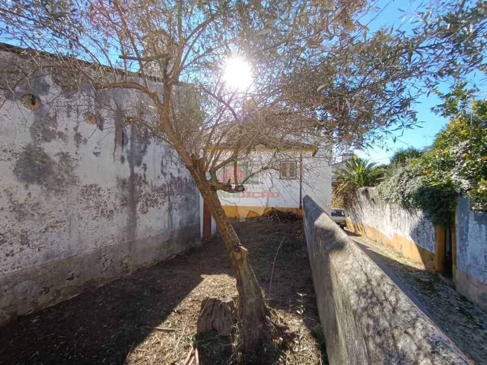 Moradia T3 para Venda em Abrantes (São Vicente e São João) e Alferrarede Foto 65