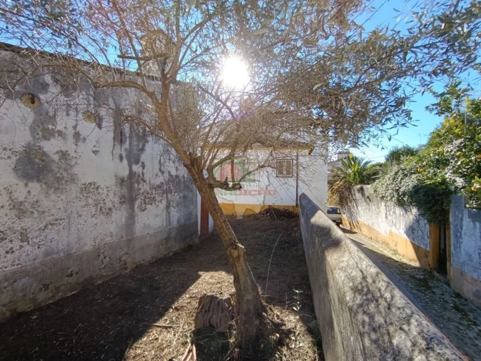 Moradia T3 para Venda em Abrantes (São Vicente e São João) e Alferrarede Foto 65