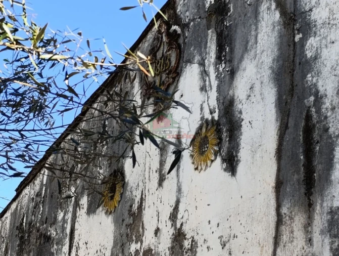 Moradia T3 para Venda em Abrantes (São Vicente e São João) e Alferrarede Foto 62
