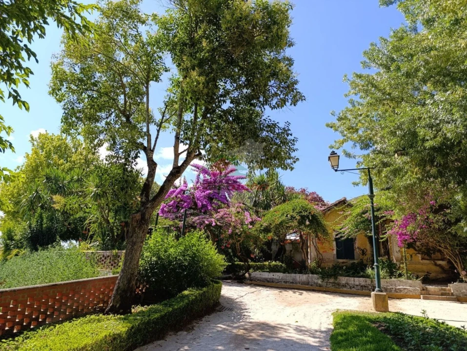 Moradia T3 para Venda em Abrantes (São Vicente e São João) e Alferrarede Foto 71