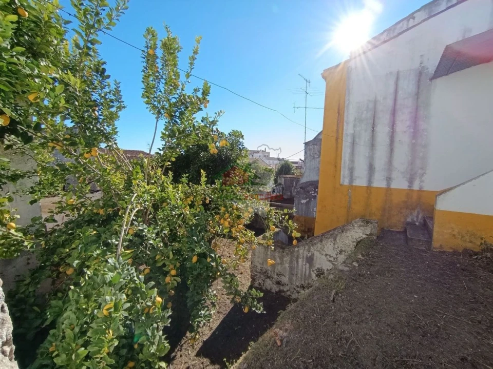 Moradia T3 para Venda em Abrantes (São Vicente e São João) e Alferrarede Foto 64