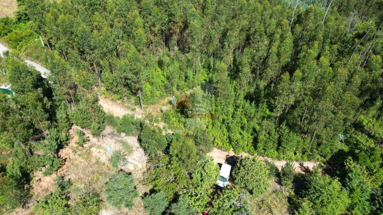 Quinta T1 para Venda em Castelo Foto 17