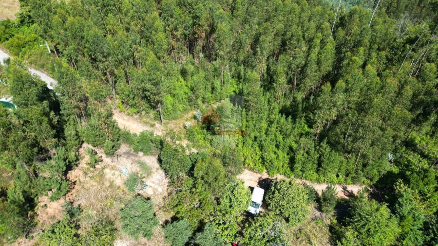 Quinta T1 para Venda em Castelo Foto 17