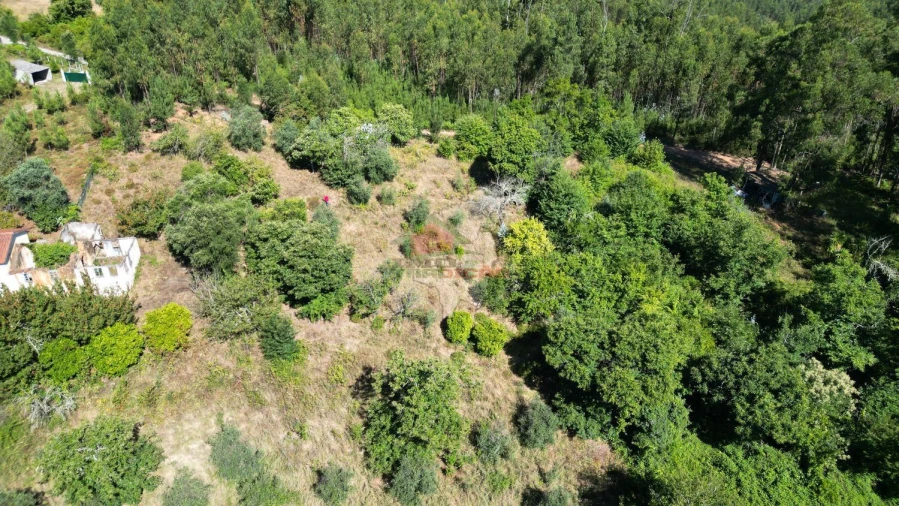 Quinta T1 para Venda em Castelo Foto 9