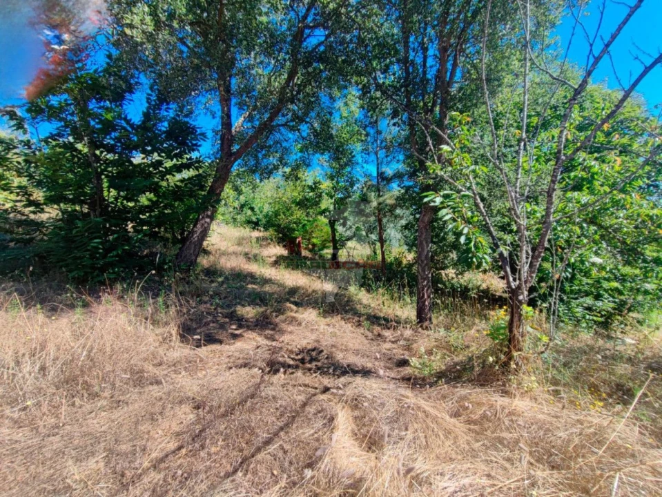 Quinta T1 para Venda em Castelo Foto 7