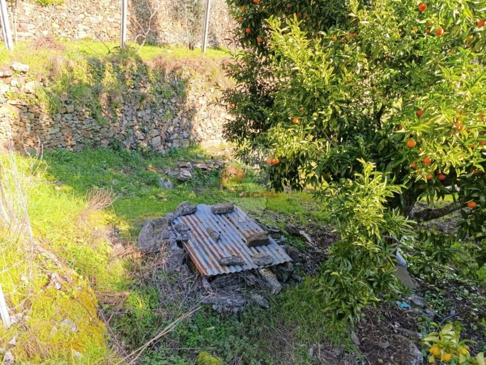 Quinta T2 para Venda em Sobreira Formosa e Alvito da Beira Foto 50