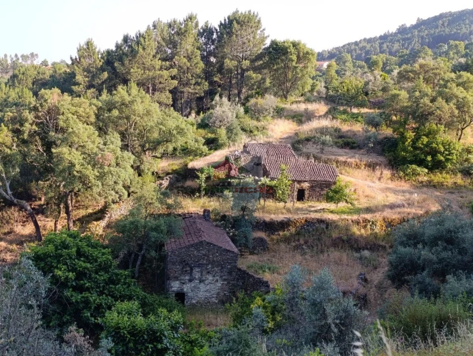 Quinta T2 para Venda em Sobreira Formosa e Alvito da Beira Foto 68