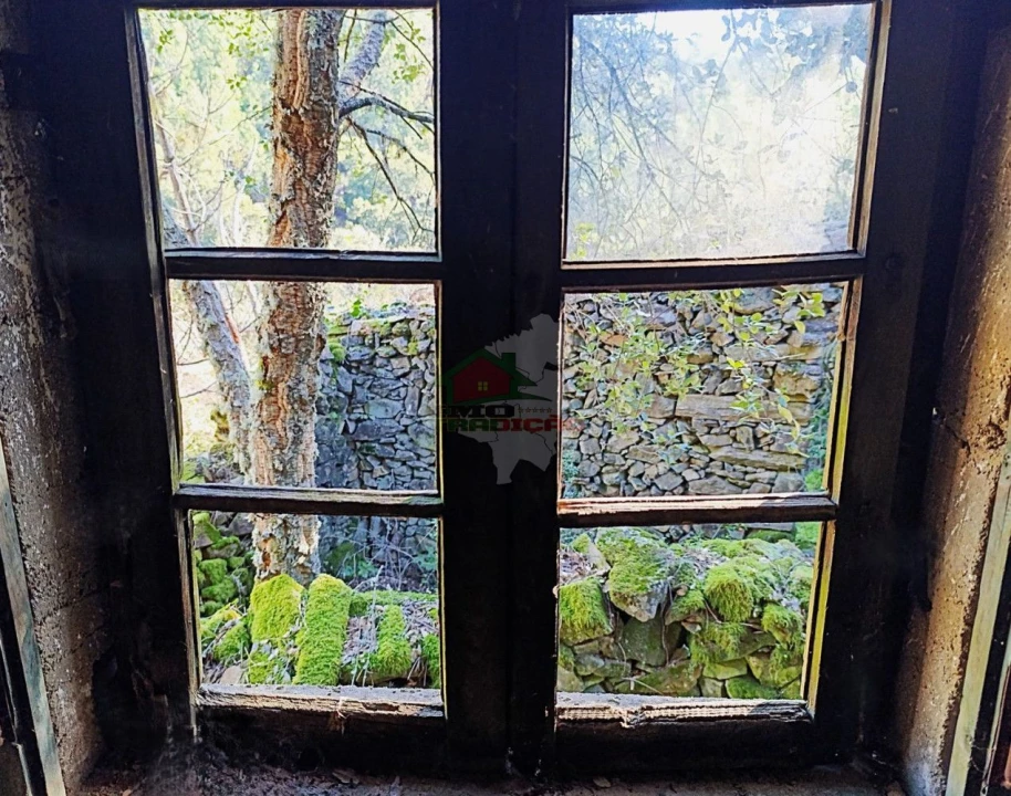 Quinta T2 para Venda em Sobreira Formosa e Alvito da Beira Foto 26