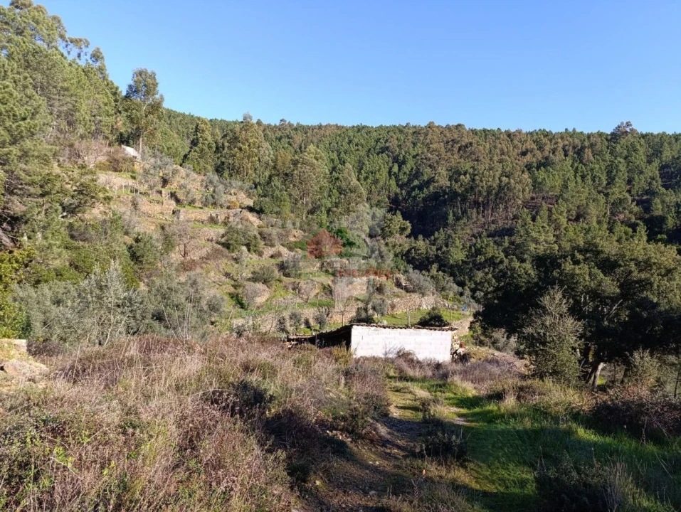 Quinta T2 para Venda em Sobreira Formosa e Alvito da Beira Foto 59