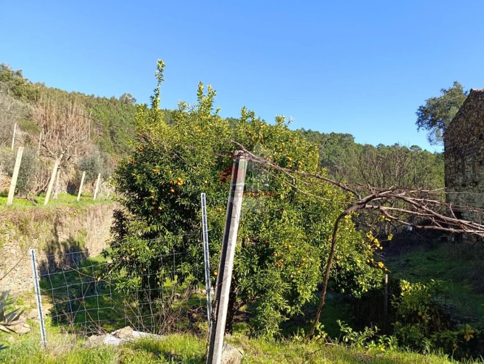 Quinta T2 para Venda em Sobreira Formosa e Alvito da Beira Foto 43