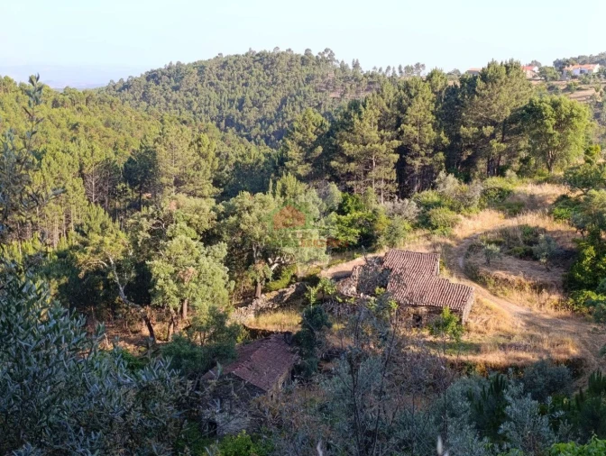 Quinta T2 para Venda em Sobreira Formosa e Alvito da Beira Foto 73
