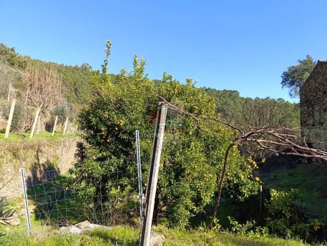 Quinta T2 para Venda em Sobreira Formosa e Alvito da Beira Foto 43