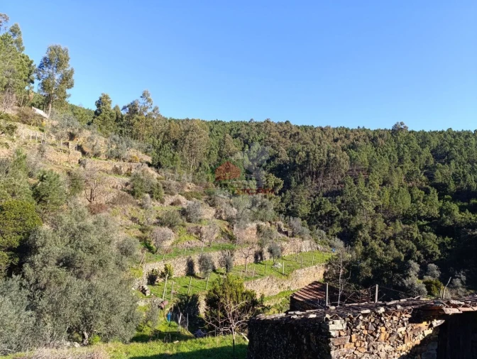 Quinta T2 para Venda em Sobreira Formosa e Alvito da Beira Foto 57