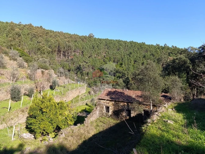 Quinta T2 para Venda em Sobreira Formosa e Alvito da Beira Foto 9