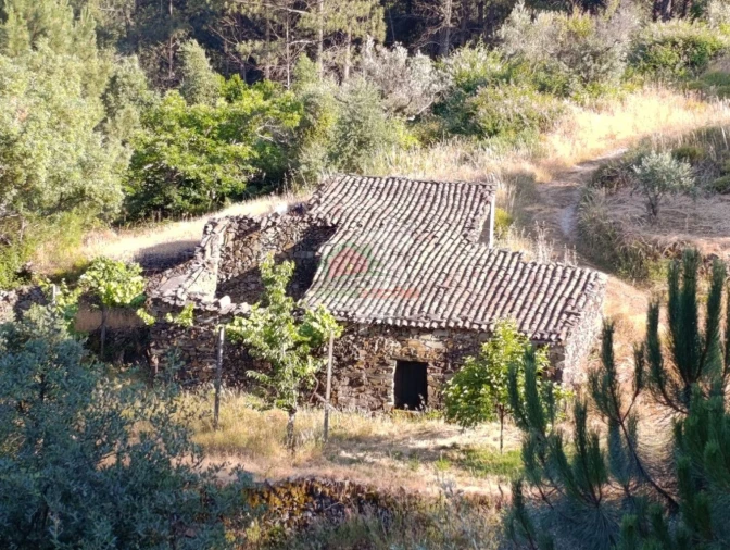 Quinta T2 para Venda em Sobreira Formosa e Alvito da Beira Foto 62