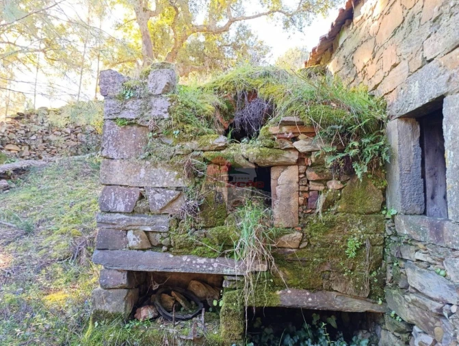 Quinta T2 para Venda em Sobreira Formosa e Alvito da Beira Foto 18