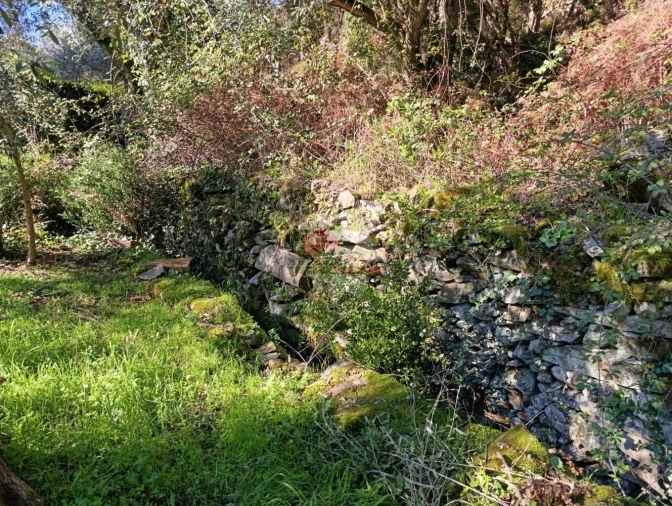 Quinta T2 para Venda em Sobreira Formosa e Alvito da Beira Foto 52