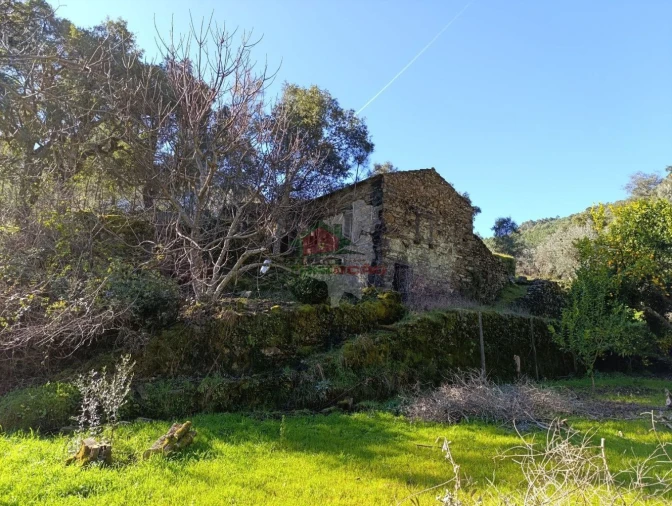 Quinta T2 para Venda em Sobreira Formosa e Alvito da Beira Foto 11