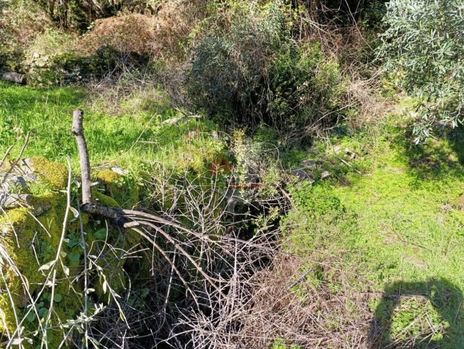 Quinta T2 para Venda em Sobreira Formosa e Alvito da Beira Foto 53