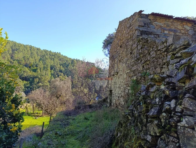 Quinta T2 para Venda em Sobreira Formosa e Alvito da Beira Foto 12
