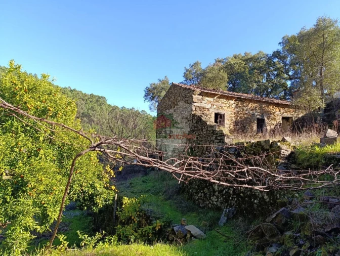 Quinta T2 para Venda em Sobreira Formosa e Alvito da Beira Foto 4