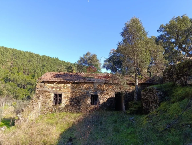 Quinta T2 para Venda em Sobreira Formosa e Alvito da Beira Foto 6