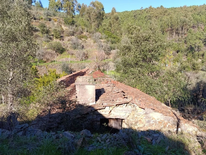 Quinta T2 para Venda em Sobreira Formosa e Alvito da Beira Foto 8