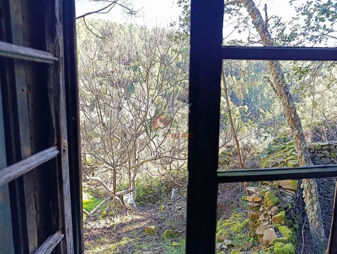 Quinta T2 para Venda em Sobreira Formosa e Alvito da Beira Foto 27