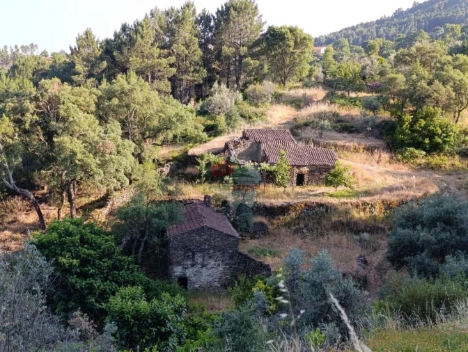 Quinta T2 para Venda em Sobreira Formosa e Alvito da Beira Foto 66