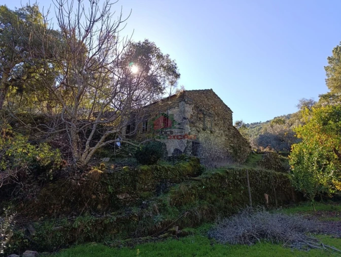 Quinta T2 para Venda em Sobreira Formosa e Alvito da Beira