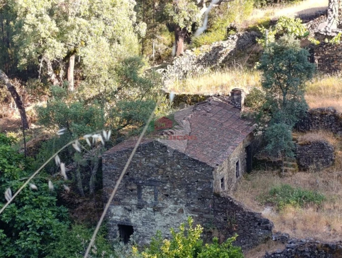 Quinta T2 para Venda em Sobreira Formosa e Alvito da Beira Foto 64