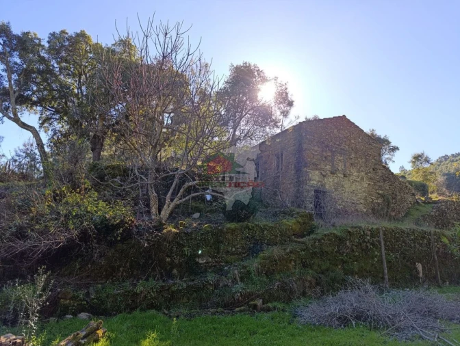 Quinta T2 para Venda em Sobreira Formosa e Alvito da Beira Foto 2