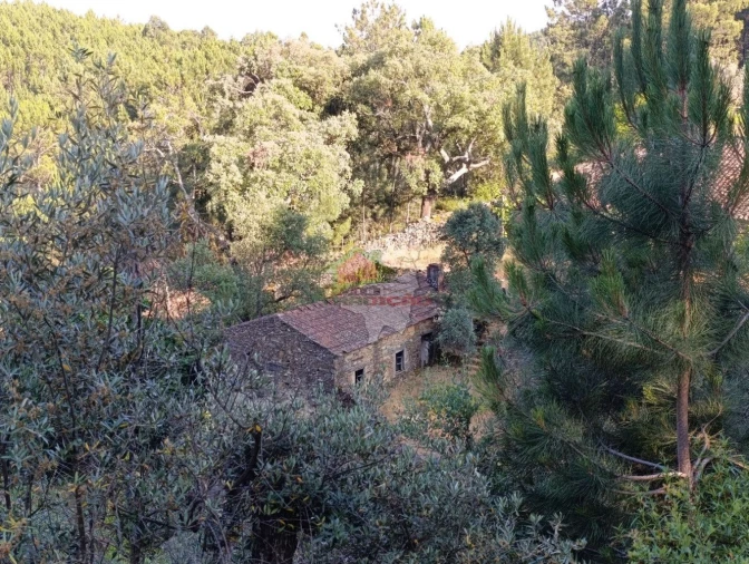 Quinta T2 para Venda em Sobreira Formosa e Alvito da Beira Foto 69