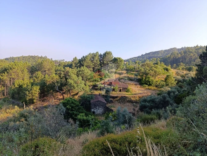 Quinta T2 para Venda em Sobreira Formosa e Alvito da Beira Foto 67
